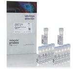 Molecular Probes LIVE/DEAD Fixable Aqua Dead Cell Stain Kit, for