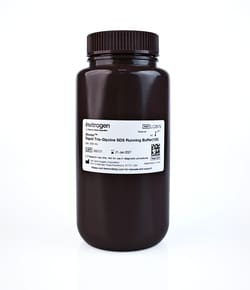Invitrogen&trade;&nbsp;Novex&trade; Rapid Tris-Glycine SDS Running Buffer (10X, 500mL)