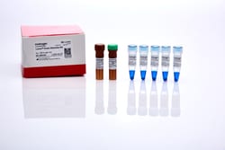 Invitrogen™ Lumio™ Green Detection Kit