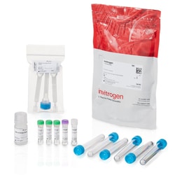 Invitrogen&trade;&nbsp;LysoLight&trade; Antibody Labeling Kits