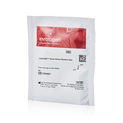 Invitrogen&trade;&nbsp;LysoLight&trade; Antibody Labeling Kits