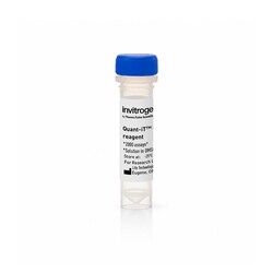 Invitrogen&trade;&nbsp;Quant-iT&trade; OliGreen&trade; Kit d’analyse ssDNA et réactif Quant-iT OliGreen ssDNA