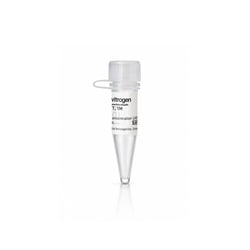 Invitrogen&trade;&nbsp;DTT, 1M