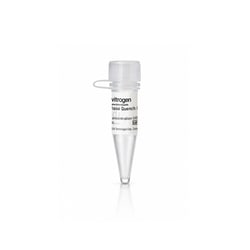 Kinase Quench Buffer