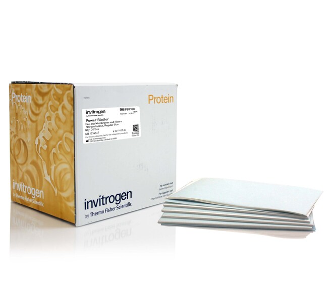 Invitrogen Power Blotter Precut Nitrocellulose Membranes and Filters