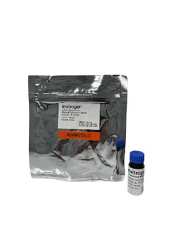 Invitrogen&trade;&nbsp;Bigfoot&trade; Calibration Beads