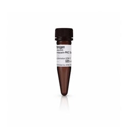 Thermo Scientific&trade;&nbsp;Substrat fluorescéine-PKC