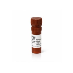 FL - RIP140L6 Peptide, 100&mu;M