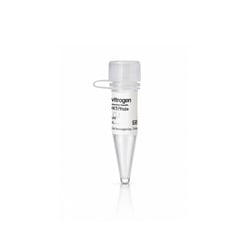 Thermo Scientific&trade;&nbsp;CDK7/9tide Substrate