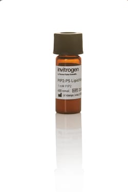 Thermo Scientific™ PIP2:PS Lipid Kinase Substrate