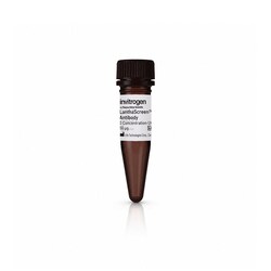 Thermo Scientific&trade;&nbsp;LanthaScreen&trade; Tb-Anti-Mouse Antibody