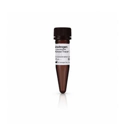 Alexa Fluor&trade;&nbsp;Kinase Tracer 314, 25 &mu;M