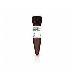 Alexa Fluor&trade;&nbsp;Kinase Tracer 1710, 25 &mu;M