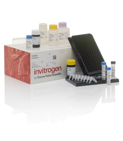 Invitrogen™ ProcartaPlex Human JAK-STAT Pathway Panel (total), 6plex