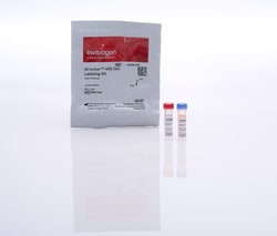 Invitrogen™ Qtracker™ 605 Cell Labeling Kit