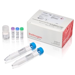 Invitrogen™ SiteClick™ Quartet Antibody Labeling Kit, 5 mg