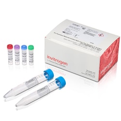 Invitrogen&trade;&nbsp;SiteClick&trade; Quartet Antibody Labeling Kit, 1 mg