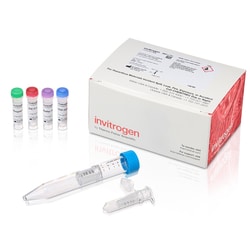 Invitrogen&trade;&nbsp;SiteClick&trade; Quartet Antibody Labeling Kit, 100 &mu;g