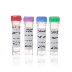Invitrogen SiteClick Quartet Antibody Labeling Kit, 100 g Quartet Antibody Modification Kit, 100 &mu;g of IgG | Buy Online | Invitrogen&trade; | Fisher Scientific