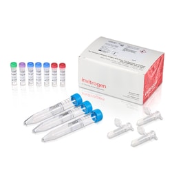 Invitrogen&trade;&nbsp;SiteClick&trade; Quartet Antibody Labeling Kit, 3 x 100 &mu;g
