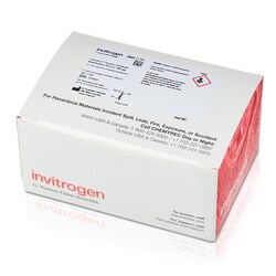 Invitrogen SiteClick Quartet Antibody Labeling Kit, 3 x 100 g Quartet Antibody Modification Kit, 100 &mu;g of IgG | Buy Online | Invitrogen&trade; | Fisher Scientific