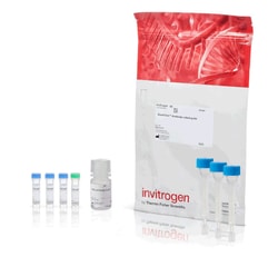 Invitrogen SureClick Antibody Labeling Kit 3 x 1 mg | Buy Online | Invitrogen&trade; | Fisher Scientific