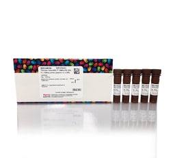 Thermo Scientific SMALP 200:Reactivos para análisis de proteínas:Purificación
