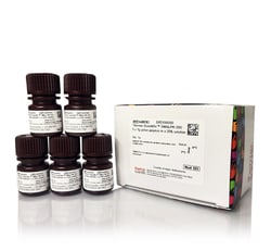 Thermo Scientific SMALP 200:Reactivos para análisis de proteínas:Purificación
