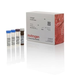 Invitrogen™ SRC Human ProcartaPlex™ Simplex Kit