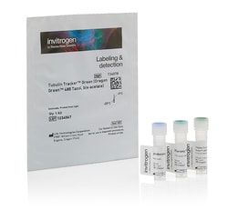 Invitrogen™ Tubulin Tracker™ Green (Oregon Green™ 488 Taxol, bis-acetate)