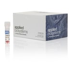 Applied Biosystems™ TaqMan™ TAMRA Probe