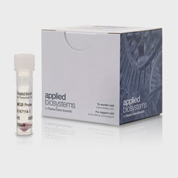 Applied Biosystems TaqMan MGB Probe FAM, VIC, TET, NED, 20,000 pmol:Équipement