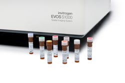 Invitrogen EVOS S1000 Spatial Imaging System Camera: 4.2 MP Highly Sensitive sCMOS Camera | Buy Online | Invitrogen&trade; | Fisher Scientific