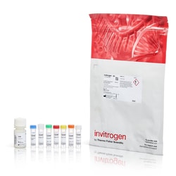 Molecular Probes™ ULYSIS™ Alexa Fluor™ Nucleic Acid Labeling Kit