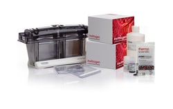 Invitrogen™ NuPAGE™ WedgeWell™ Tris-Acetate Welcome Pack, 3 to 8%