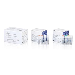 Applied Biosystems&trade;&nbsp;MicroSEQ&trade; ITS rDNA Fungal Identification Kit