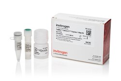 Invitrogen&trade;&nbsp;TaqMan&trade; Cells-to-CT&trade; Express 1-Step Kit