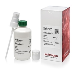 Invitrogen RNaseZap RNase Decontamination Solution 250 mL | Buy Online | Invitrogen&trade; | Fisher Scientific