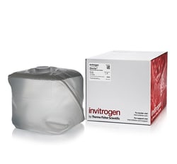 Invitrogen RNaseZap RNase Decontamination Solution 4 L | Buy Online | Invitrogen&trade; | Fisher Scientific
