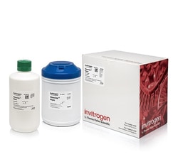 Invitrogen RNaseZap RNase Decontamination Wipes Refill 100 Sheets | Buy Online | Invitrogen&trade; | Fisher Scientific