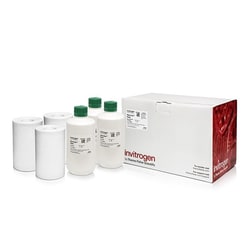 Invitrogen RNaseZap RNase Decontamination Wipes Refill 300 Sheets | Buy Online | Invitrogen&trade; | Fisher Scientific