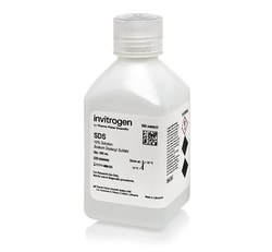 Invitrogen SDS, 10% Solution, RNase-free 500 mL | Buy Online | Invitrogen&trade; | Fisher Scientific