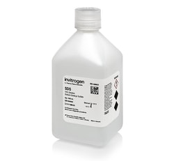 Invitrogen SDS, 10% Solution, RNase-free 1 L | Buy Online | Invitrogen&trade; | Fisher Scientific