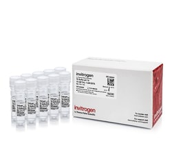 Invitrogen TE, pH 7.0, RNase-free 10 x 1 mL | Buy Online | Invitrogen&trade; | Fisher Scientific