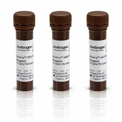 Invitrogen Aluora Spatial Amplification Multiplex Dye Kit 100 x 3-plex Slides | Buy Online | Invitrogen&trade; | Fisher Scientific