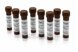Invitrogen&trade;&nbsp;Aluora&trade; Spatial Amplification Multiplex Dye Kit