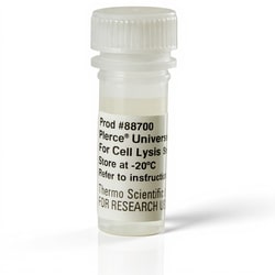 Thermo Scientific Pierce Universal Nuclease for Cell Lysis 5 kU | Buy Online | Thermo Scientific&trade; | Fisher Scientific
