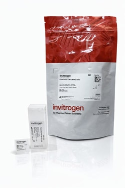 Invitrogen&trade;&nbsp;FluoCells&trade; Förberedd bild #1 (BPAE-celler med MitoTracker&trade; Röda CMXRos, Alexa Fluor&trade; 488 Phalloidin och DAPI)