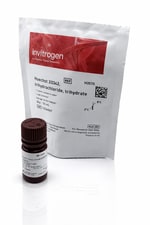 Invitrogen™ γ-Glutamyl Transferase (GGT/γ-GT) Colorimetric Activity Kit