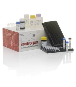 Invitrogen&trade;&nbsp;ProcartaPlex&trade; Human Steroid and Thyroid Hormones Panel, 7plex